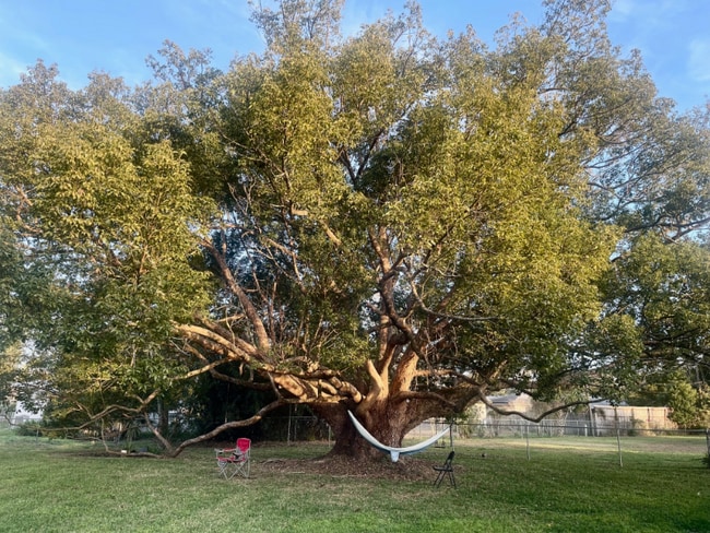 Photo - 950 Hedgewood Ct House