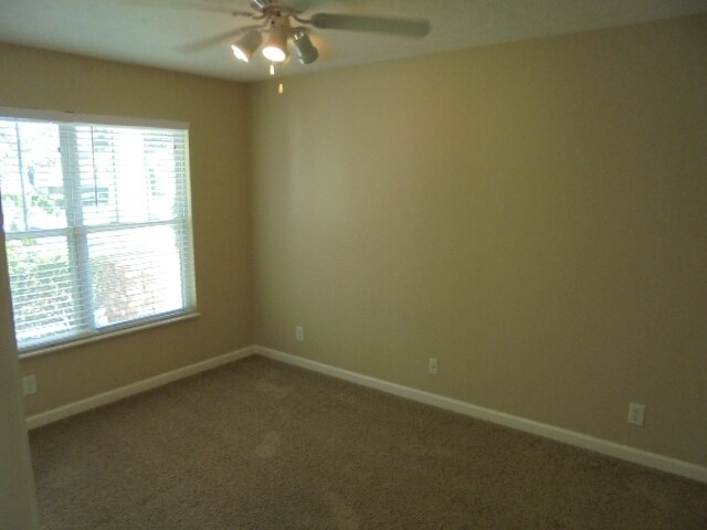 Building Photo - 2813 Paddle Wheel Dr