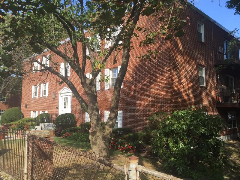 Primary Photo - 276 Albion St