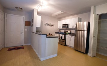 Kitchen Equipped w/Stainless Steel Appliances - The Boulevard at Tallahassee - Student Living