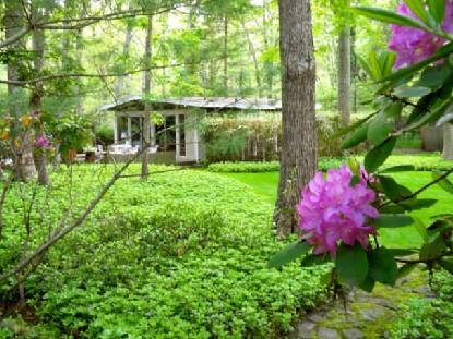 Primary Photo - 141 Hog Creek Rd