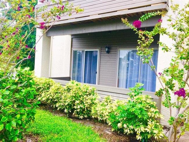 Foto del edificio - 10263 Gandy Blvd N