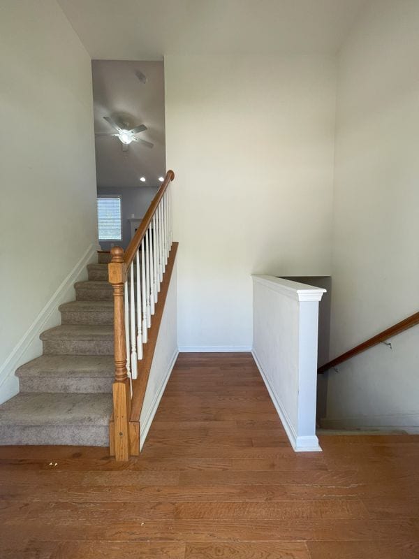 Building Photo - 205 Tessing Ct