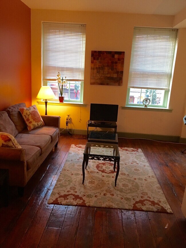 LIVING ROOM WITH 4 HUGE WINDOWS - 159 N 3rd St