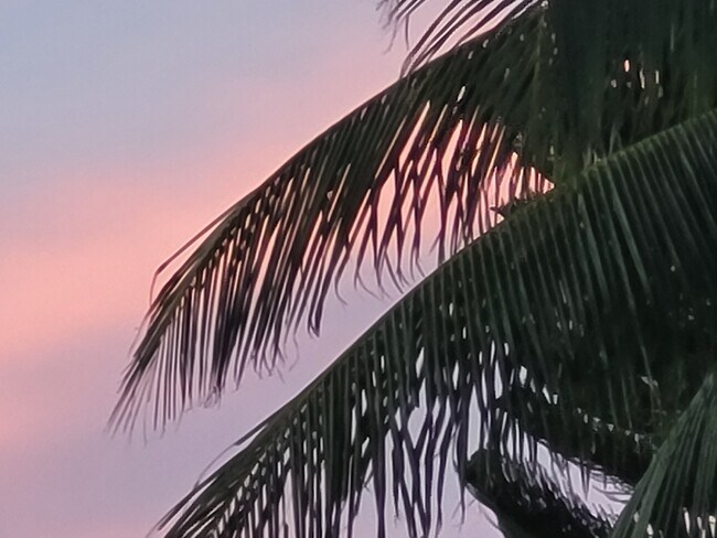 Puesta de sol en el patio trasero - 2005 Fogarty Ave