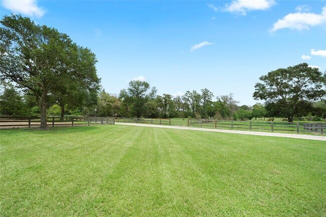 Building Photo - 38279 FM 1488 Rd