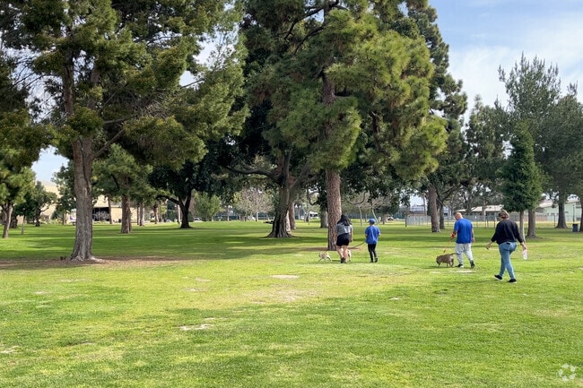 South Gate Park is full of open space for dog walking or picnics.