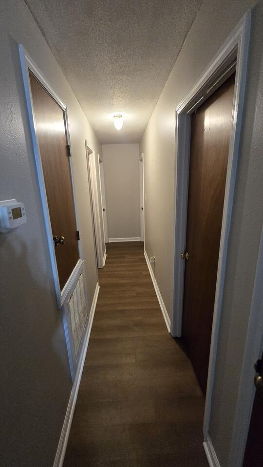 Foto del edificio - 36 Pineywood Dr