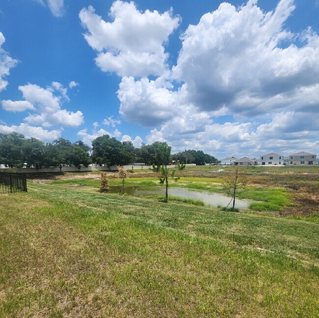 Building Photo - 37059 Sharks Eye Ln