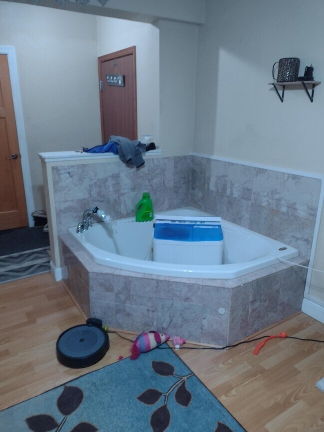 118 Main St E Unit 1204, Wabasha, MN 55981 Room for Rent in Wabasha