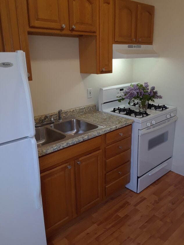 Kitchen - 32 Norfolk St