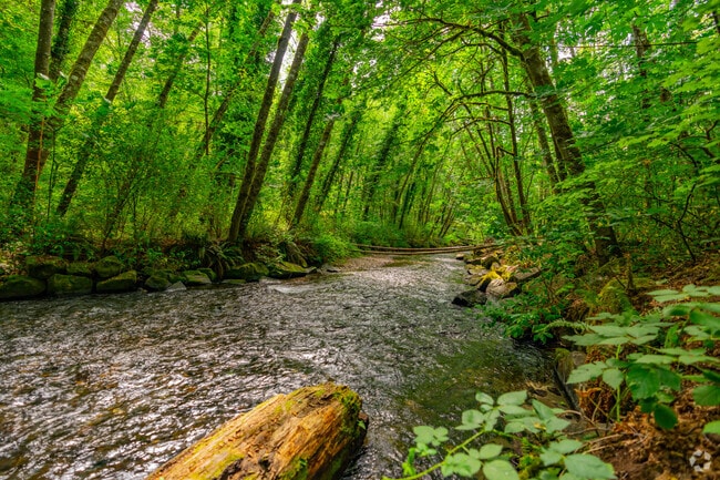 Lakewood offers amazing wooded trails and natural areas.