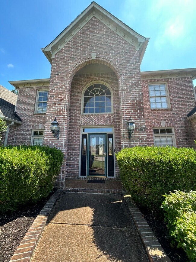 Foto del edificio - Beautiful Collierville home tucked away in...
