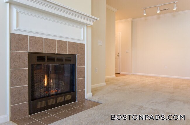 Building Photo - 311 Lowell St