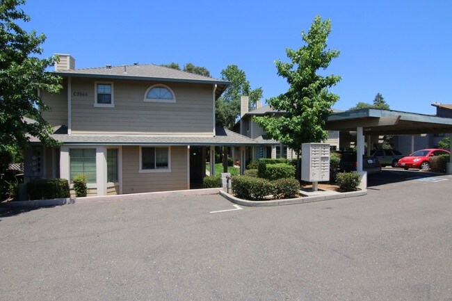 Apartments For Rent In Cameron Park Ca Apartments For Rent In Cameron Park Ca