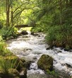 Foto principal - Creekside