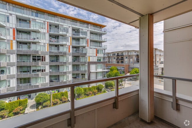 Studio - 417SF - Camellia
