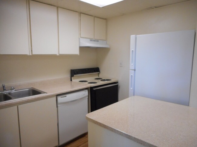 Kitchen - 2307 S McClintock Dr