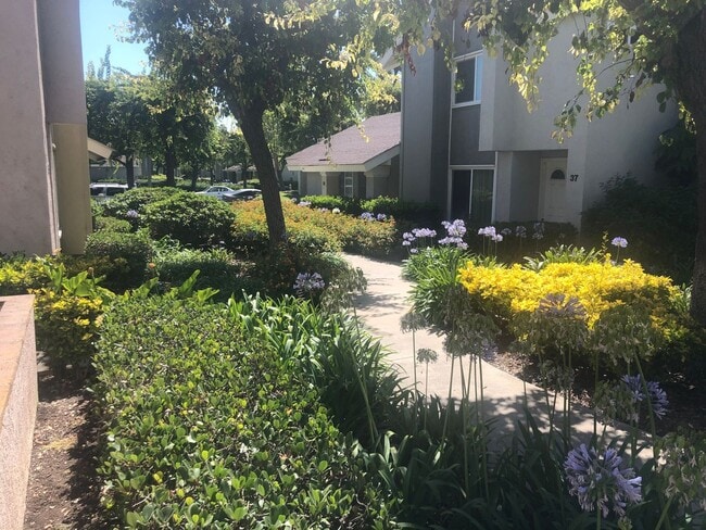 Building Photo - **Coming Soon** Modern Irvine Townhome in ...