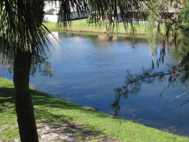 Foto del edificio - Excellent  location in Coral Springs