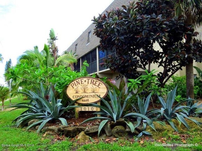 Foto del edificio - 1010 Pine Tree Dr