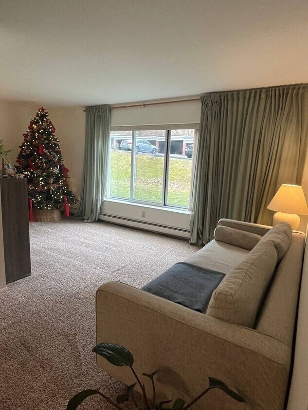 355 Solon Rd Unit 110, Chagrin Falls, OH 44022 Condo for Rent in