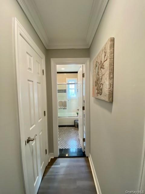 Foto del edificio - 307 Robinson Ave