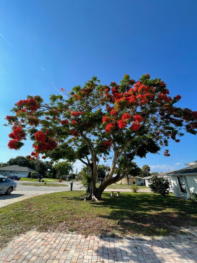 Building Photo - 27989 Lance Dr