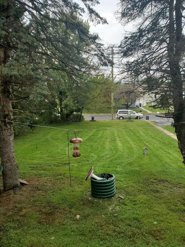 35 Finn St, WilkesBarre, PA 18705 Condo for Rent in WilkesBarre, PA