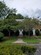 Primary Photo - 1600 Pennsylvania Ave