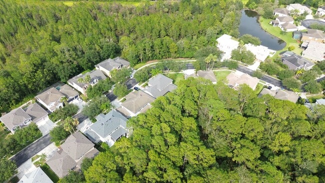 Building Photo - Beautifully Renovated Home in Tampa Palms ...