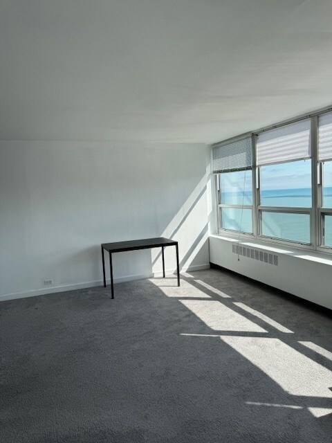 Foto del edificio - 4800 S Chicago Beach Dr