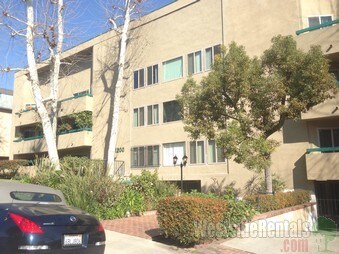 Primary Photo - 1200 N Olive Dr