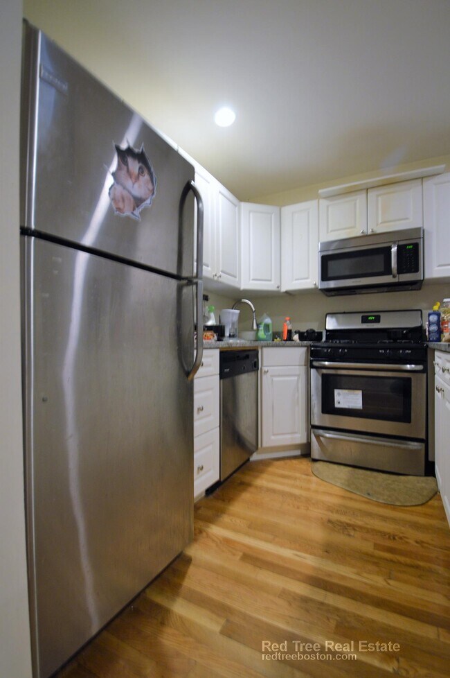 Building Photo - 56 Egmont St