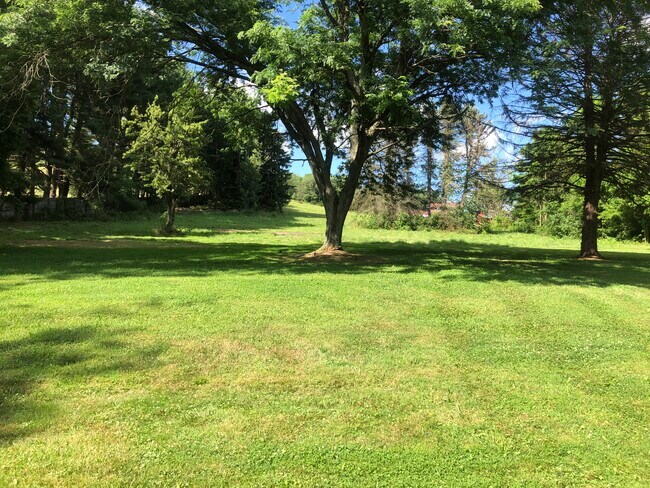 Backyard - 48394 Bell School Rd