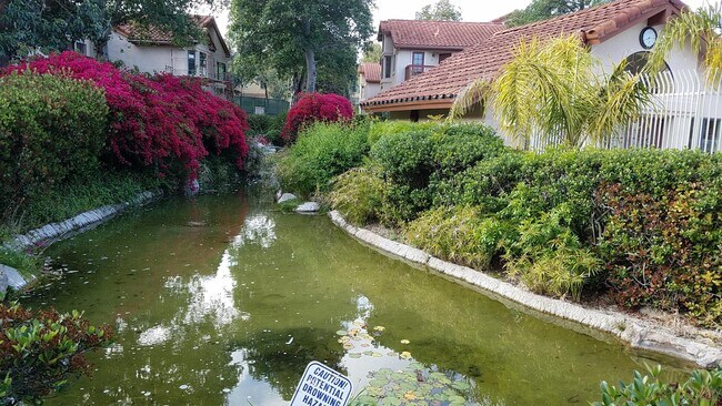 Koi pond - 4059 Carmel View Rd