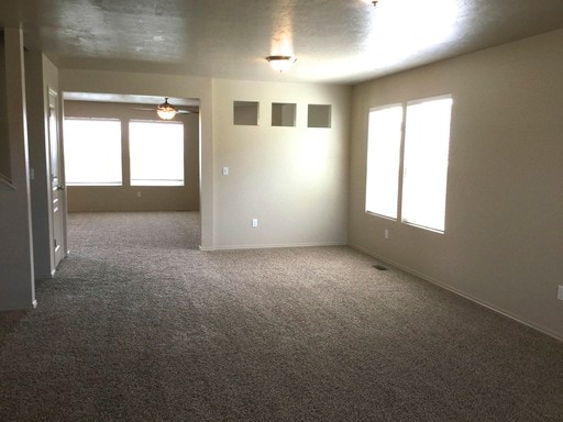 Building Photo - 243 W White Sands Dr