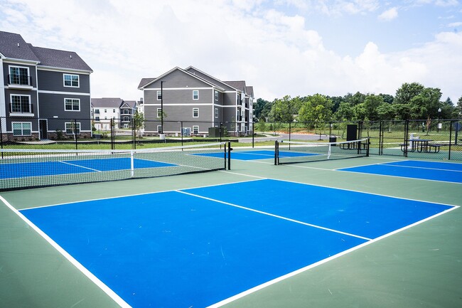 Coge una paleta y disfruta de la alegría de jugar en nuestras canchas, donde los juegos espontáneos y la energía amistosa hacen que sea fácil mantenerse activo. - Westgate on Third