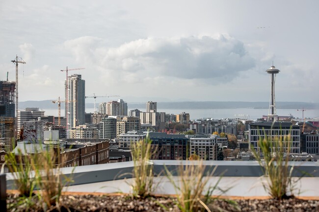 Foto del edificio - Zephyr Apartments