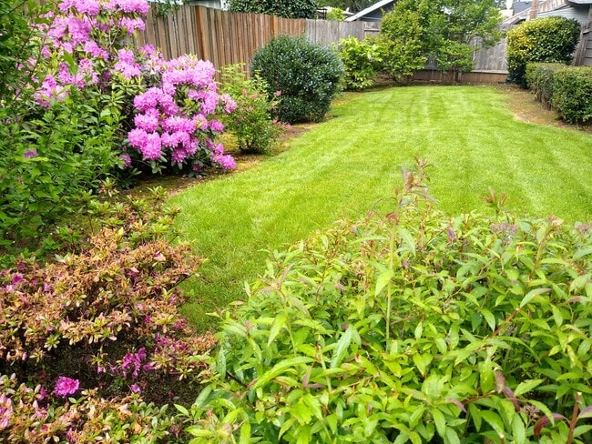 Building Photo - 320 Wilson St S