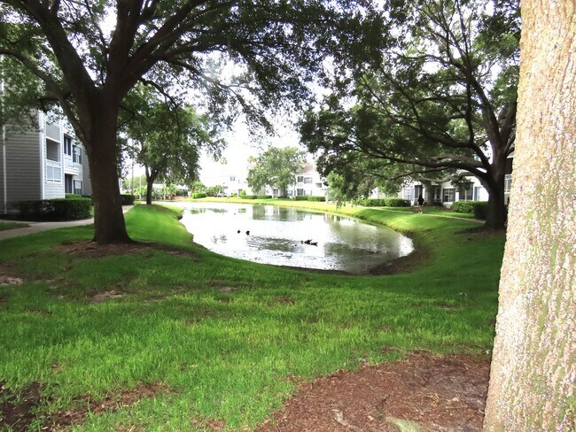 Foto del edificio - Orlando Park Central Gated Resort Style Co...