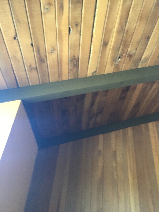 Vaulted High Ceilings - 60 Ora Way