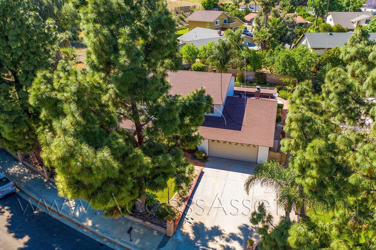 Primary Photo - Beautiful 3 Bed/3 Bath Home With 2 LARGE B...