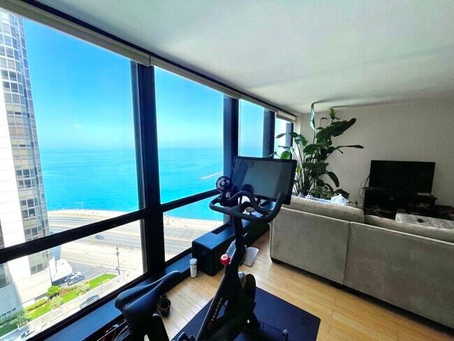 Foto del edificio - 900 N Lake Shore Dr