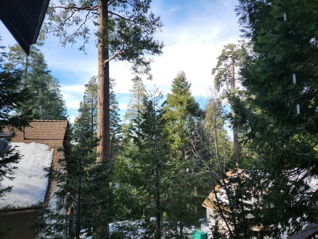 Building Photo - 865 Bear Springs Rd