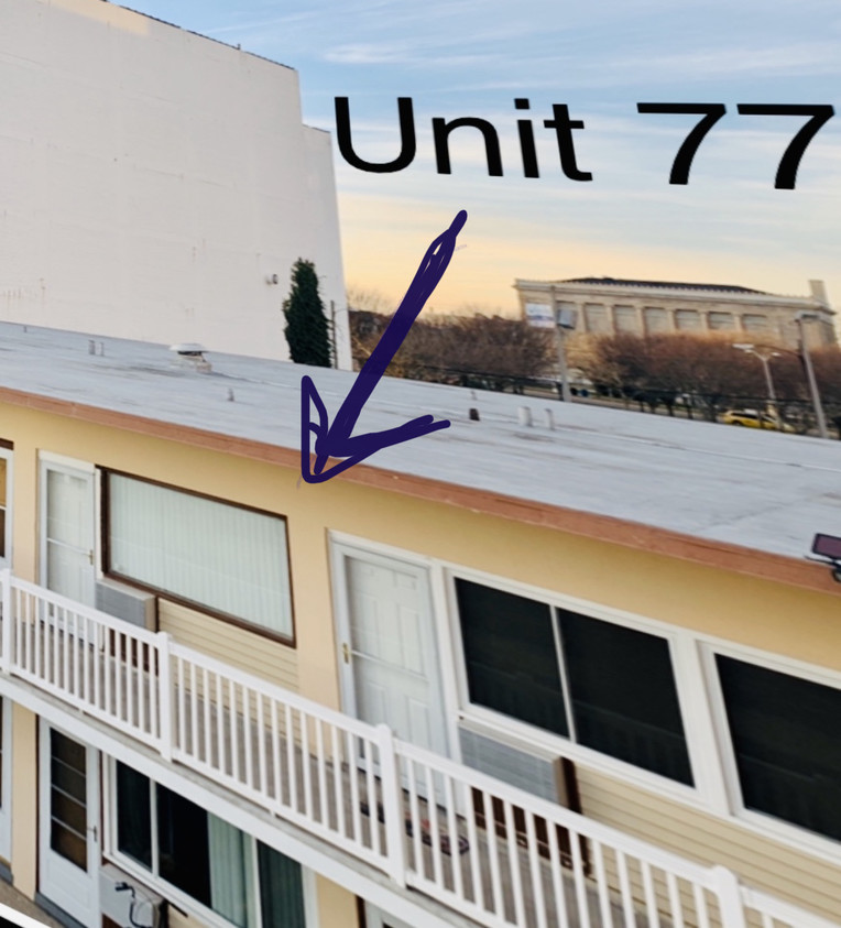 Este Sunny apartamento está disponible hoy mismo. - 3501 Pacific Ave