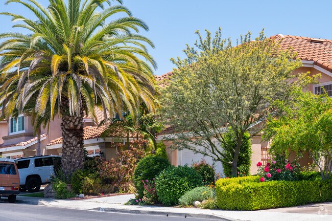 Homes in Rancho Santa Margarita have perfectly trimmed lawns and lush landscaping.