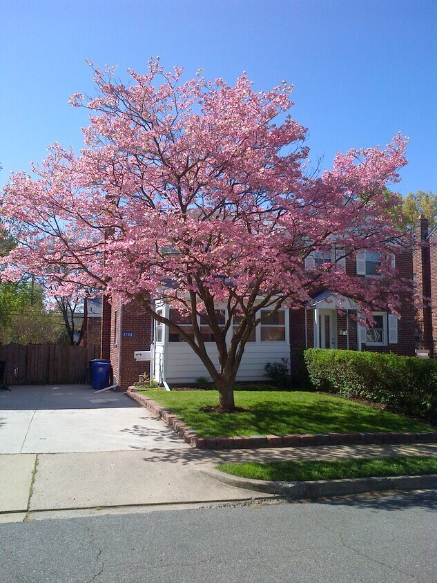 Street view - 3704 1st Rd S