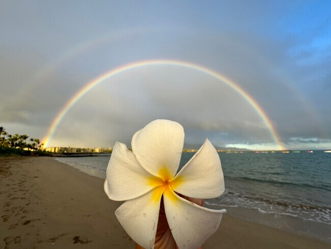 Foto del edificio - 111 Kahului Beach Rd