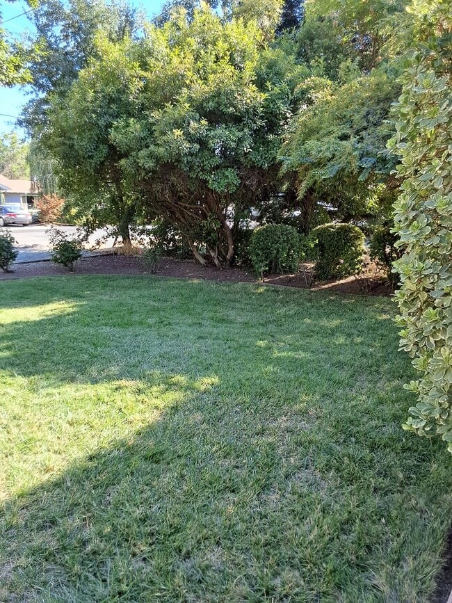 Foto del edificio - 3 bed/1.5 bath on large corner lot